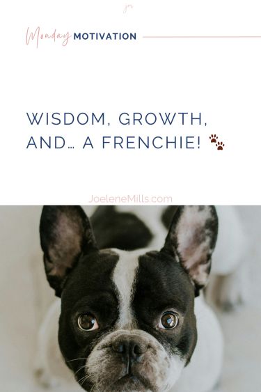 Monday Motivation - Wisdom, Growth, and a Frenchie! 