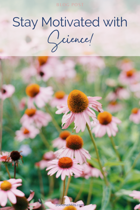 flowers in a filed with the words stay motivated with science